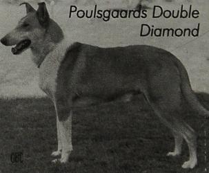Poulsgaards Double Diamond